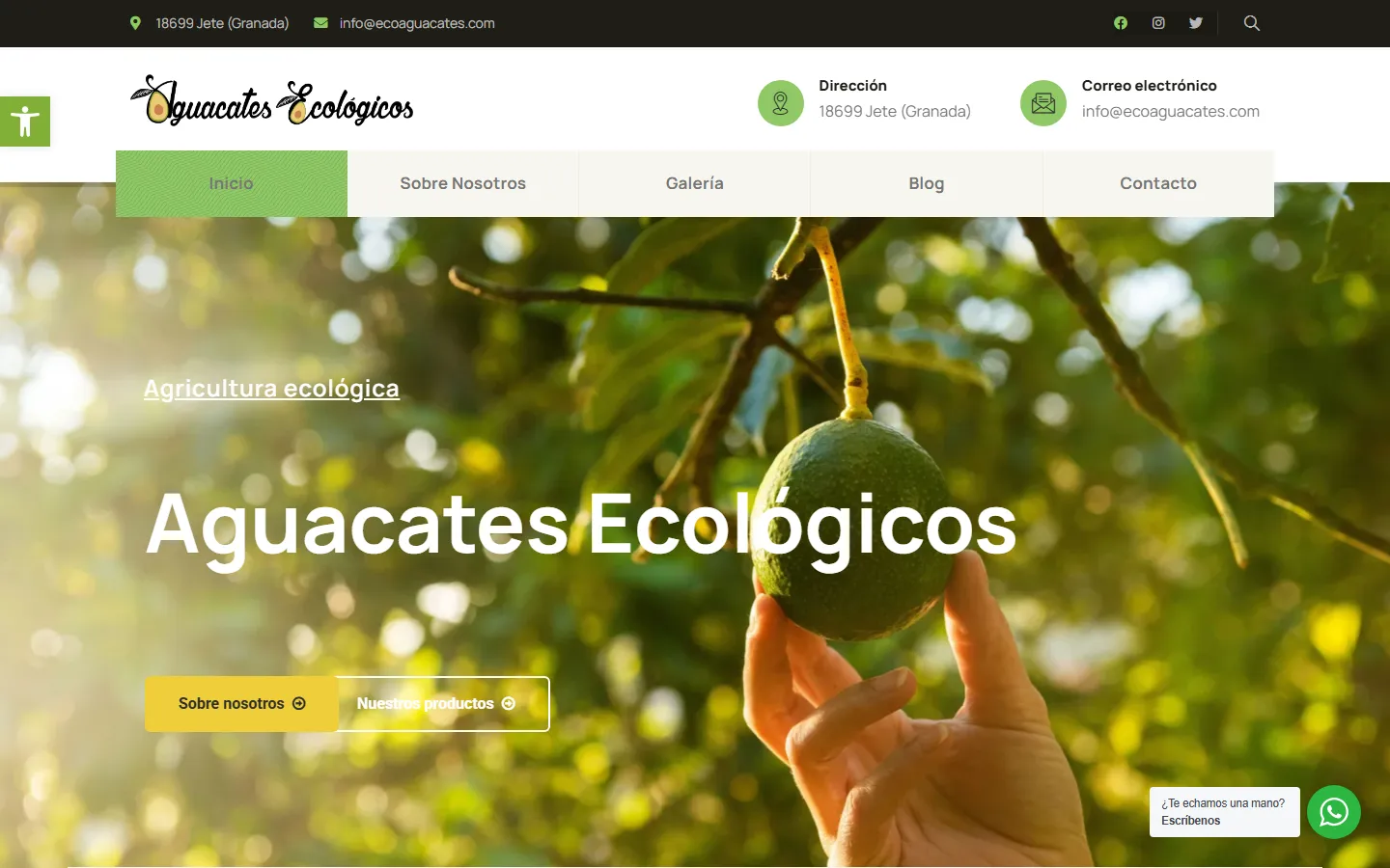 Web de Eco Aguacates
