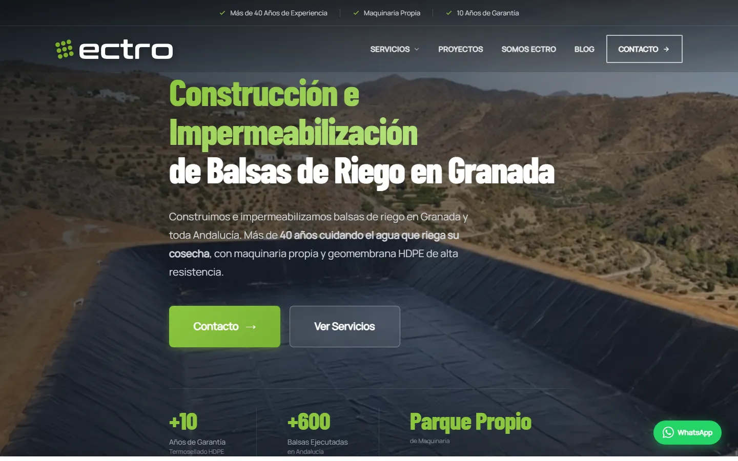 Web de Ectro